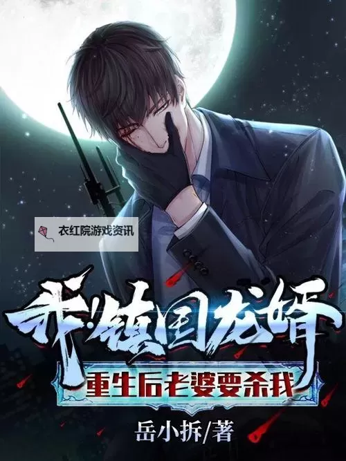 岳婿合体10章之后还有原著吗：后续内容揭秘与阅读指南图1