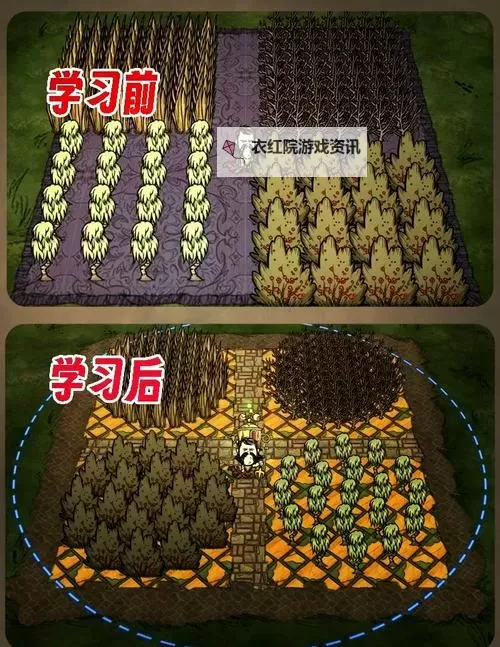 《饥荒》对称月台基地建设布局图 月台基地怎么建图1