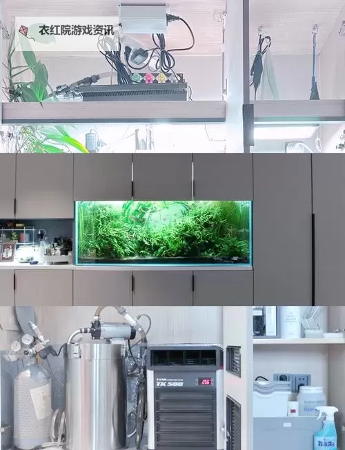 《心动小镇》嵌入式鱼缸建造教程图1