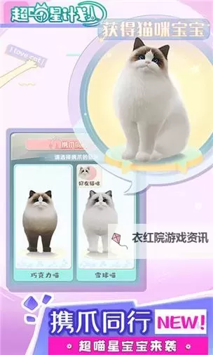 《超喵星计划》氪金攻略  《超喵星计划》哪些礼包值得买？图1