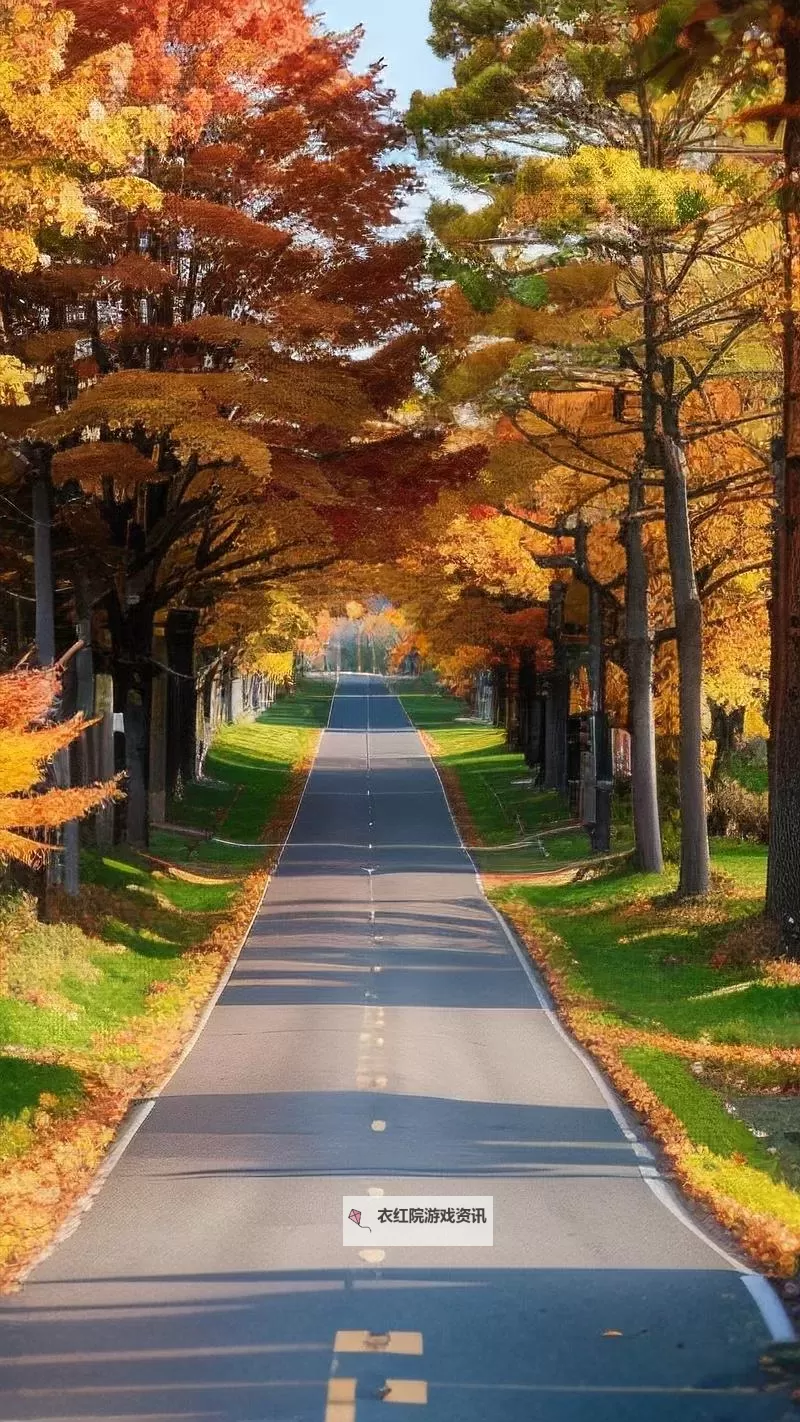 幸存者游戏盘点 幸存者游戏有哪些图1