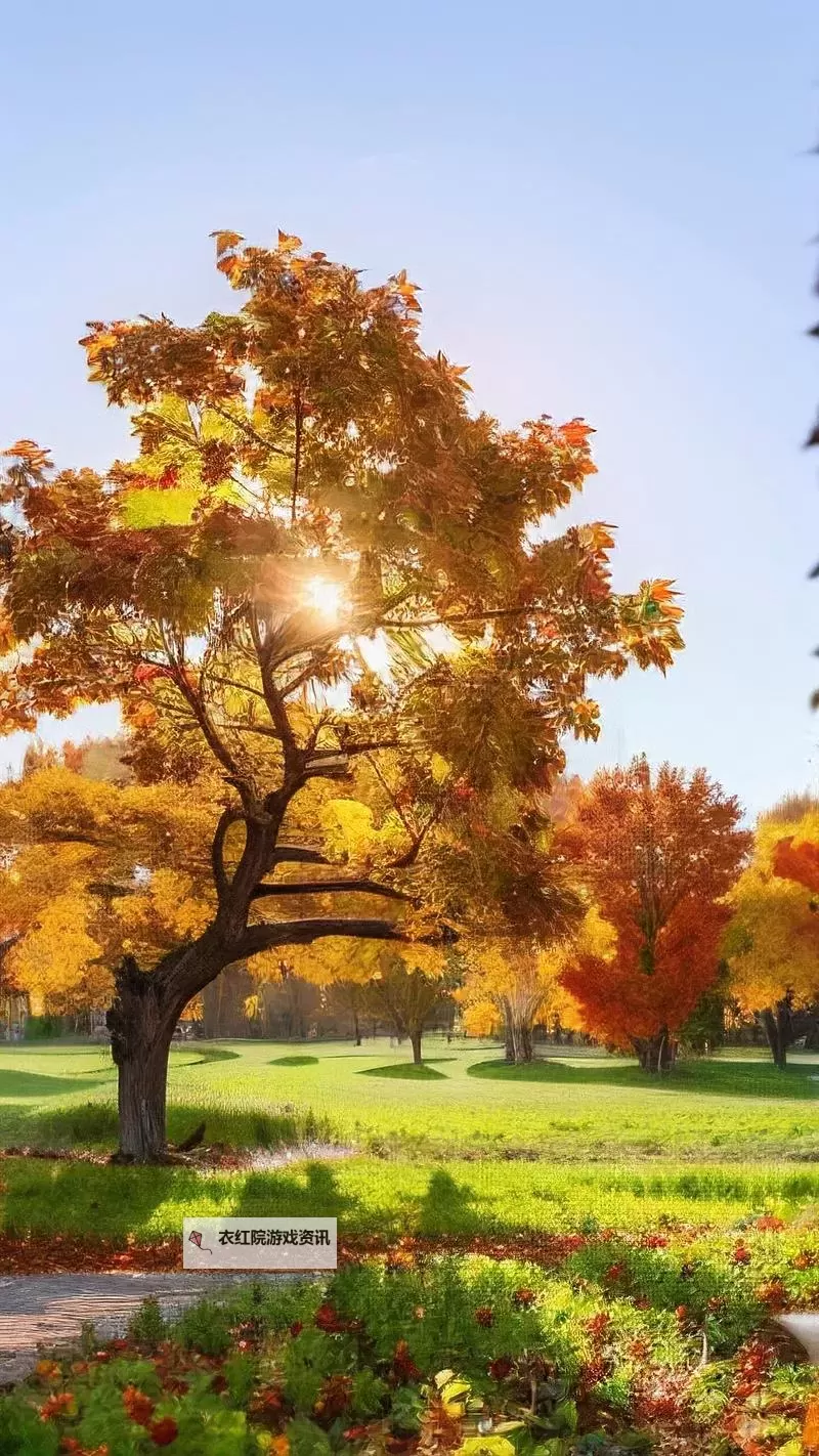 探索全新娱乐体验：X8X8拨牐拨牐X8免费视频8文字全解析图1