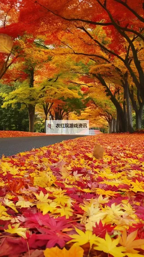 探索全新娱乐体验：X8X8拨牐拨牐X8免费视频8文字全解析图2