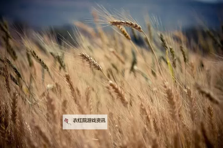 五月亭：探索一级成片的完美之境图1