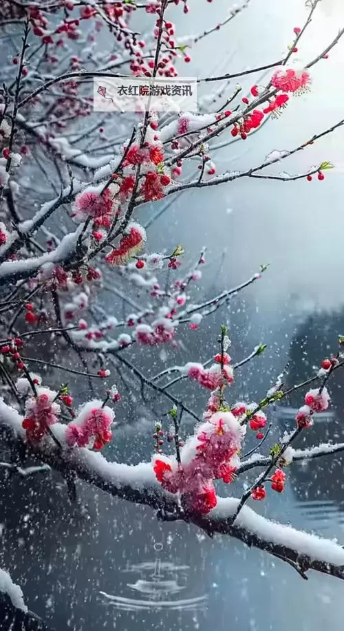 浴火战线双开挂机软件推荐  怎么双开浴火战线详细图文教程图1