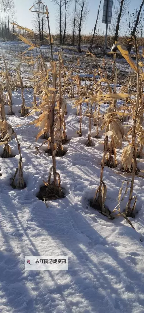 大都督双开挂机软件推荐  怎么双开大都督详细图文教程图1