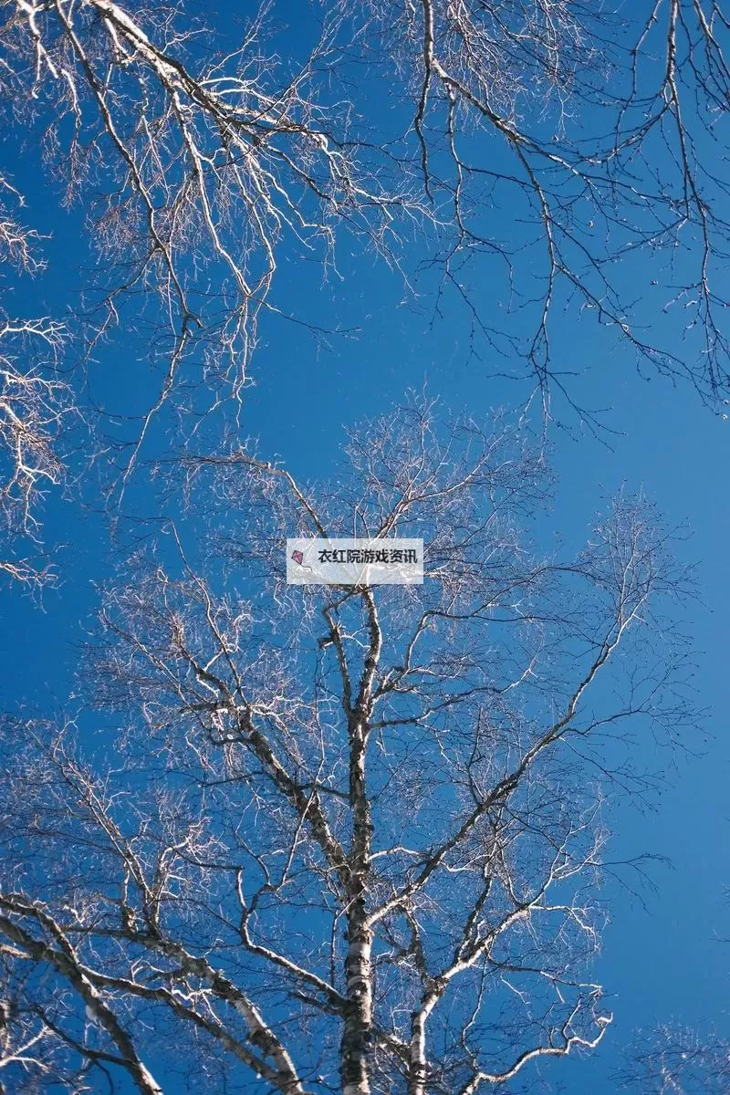 大都督双开挂机软件推荐  怎么双开大都督详细图文教程图2