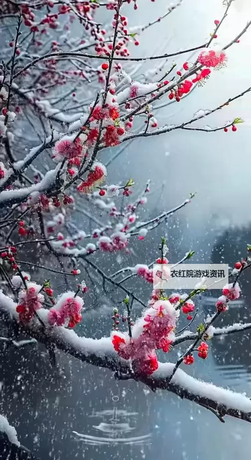 浴火战线双开挂机软件推荐 怎么双开浴火战线详细图文教程图1