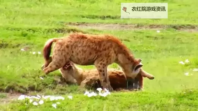 高清无忧：最新69视频免费在线观看完整版推荐图1