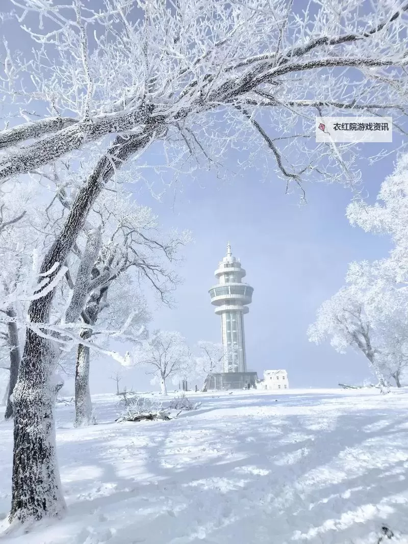 浴火战线双开挂机软件推荐  怎么双开浴火战线详细图文教程图2