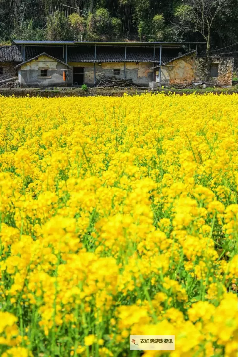 废土2 强制修理罗迪亚电塔小技巧图1