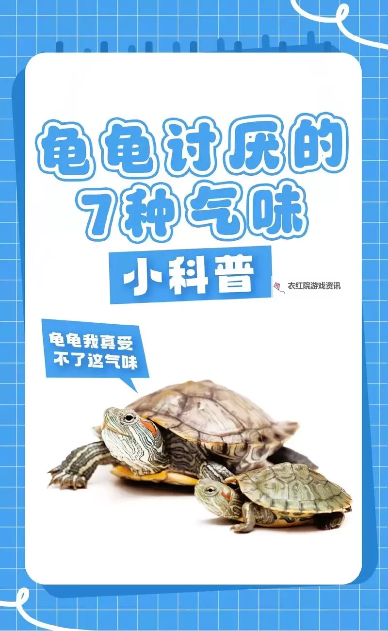 怎么降低龟灵敏度的方法:实用技巧与详细指南图1