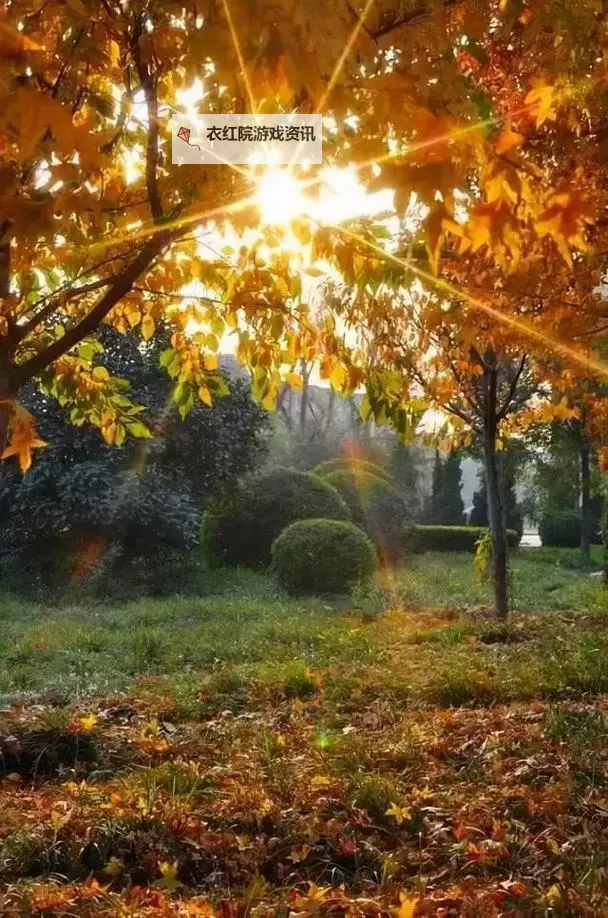 《勇者斗恶龙英雄2》小金币获得方法及兑换道具一览 小金币怎么获得图2