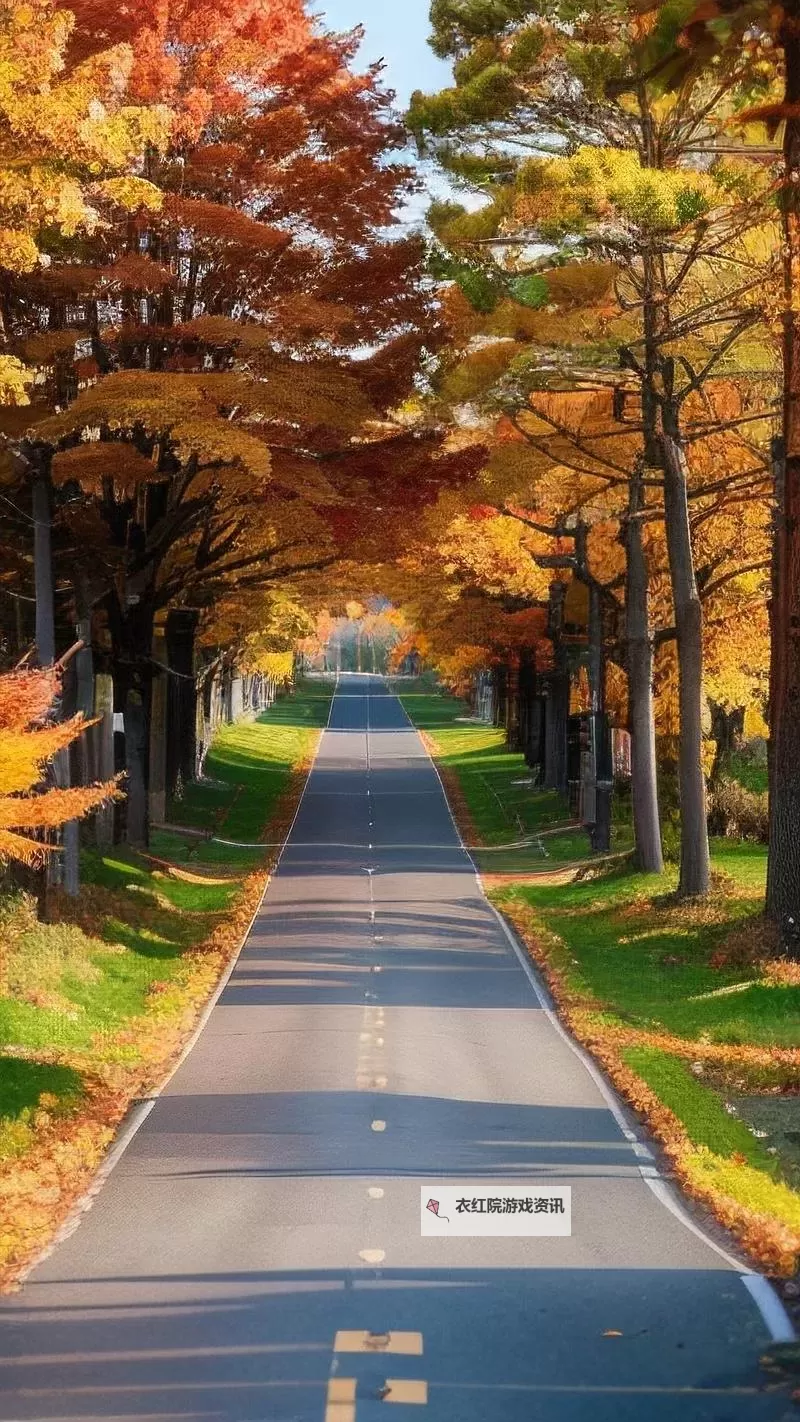 《勇者斗恶龙英雄2》小金币获得方法及兑换道具一览 小金币怎么获得图1