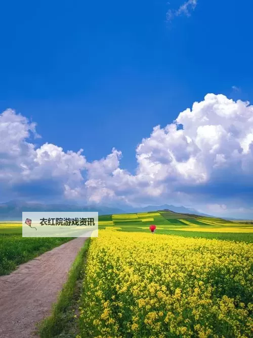 99r免费视频观看：在光影深处寻找真实的自己图2