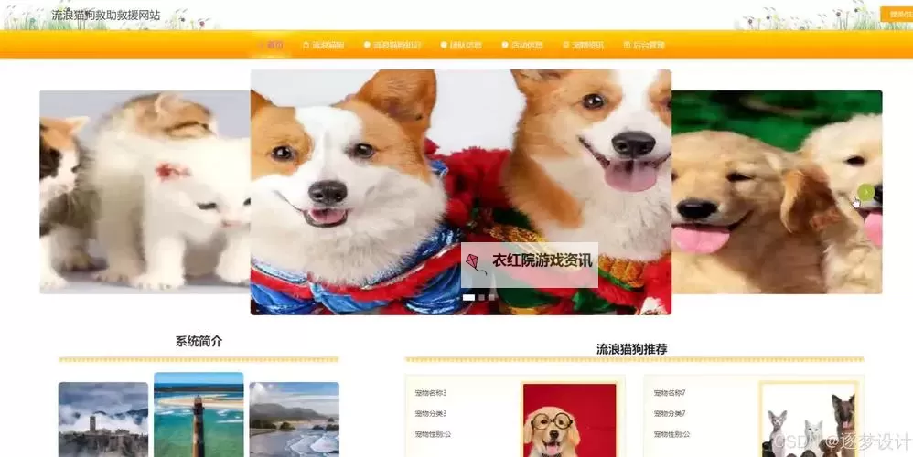 在线观看人物动物交互狗软件:在屏幕的光影里,人与狗的对话被重新编写图1