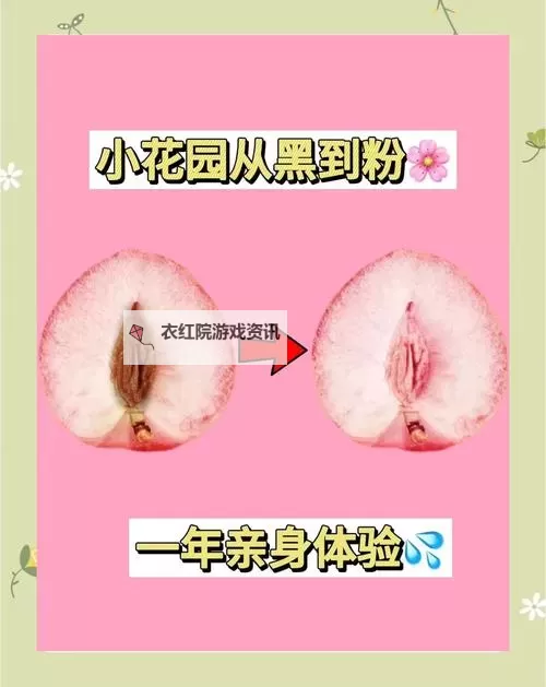 由粉到黑得多少次：在光影之间重新定义自我的旅程图1