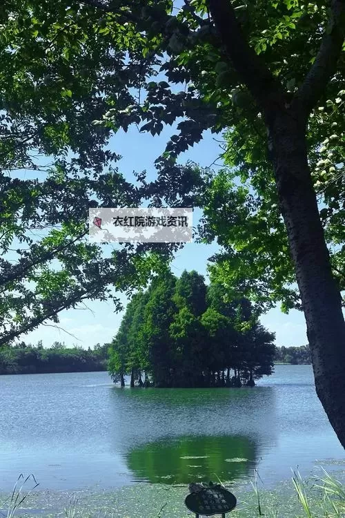 《野狗子》奇才王文若解锁方法 奇才王文若怎么获取图1